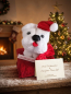 Preview: Nikolaus mini Hund