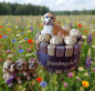 Preview: Nachbarschaftshilfe Pralinentorte Hund