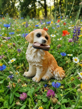 Preview: Nachbarschaftshilfe Pralinentorte Hund