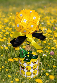 Schokoladen Naschbaum Gastgeschenk