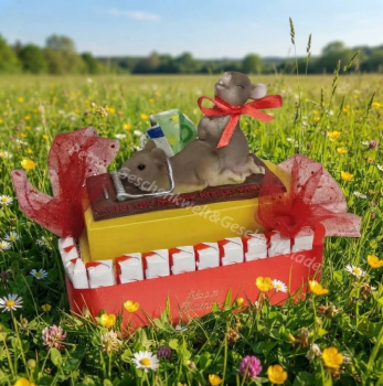 Geldgeschenk-Torte mit süßen Mäusen zum Geburtstag