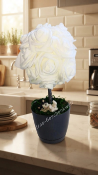 Gastgeschenk Rosenbaum weiß