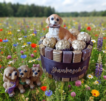 Nachbarschaftshilfe Pralinentorte Hund