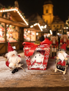 Nikolaus Geschenkbox