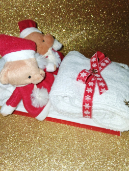 Nikolaus Handtuchbett Gastgeschenk
