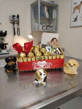 Dankeschön-Geschenk für Tierärzte