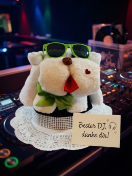 Handtuchhund „Mr. DJ Cool“