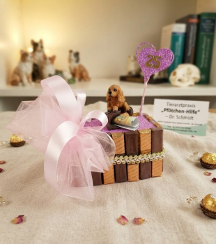 Geldgeschenk für einen Tierfreund zum Geburtstag