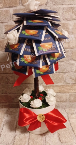 Gastgeschenk Teebaum