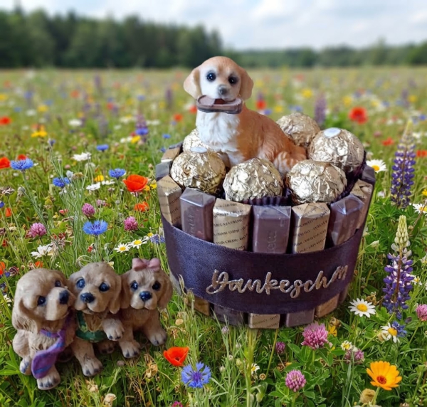 Nachbarschaftshilfe Pralinentorte Hund