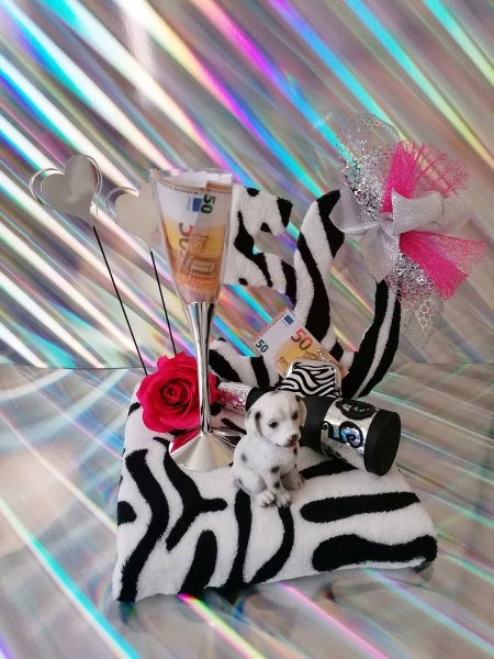 Geldgeschenk zum Geburtstag